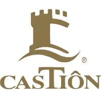Castion logo